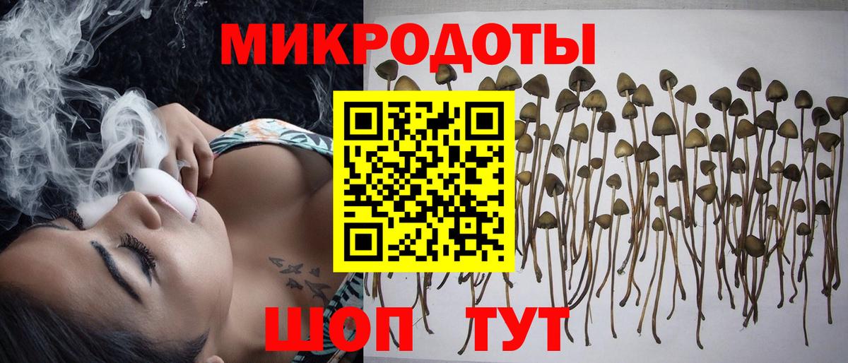 Псилоцибиновые грибы Psilocybine cubensis  Вход с VPN  Шуя 